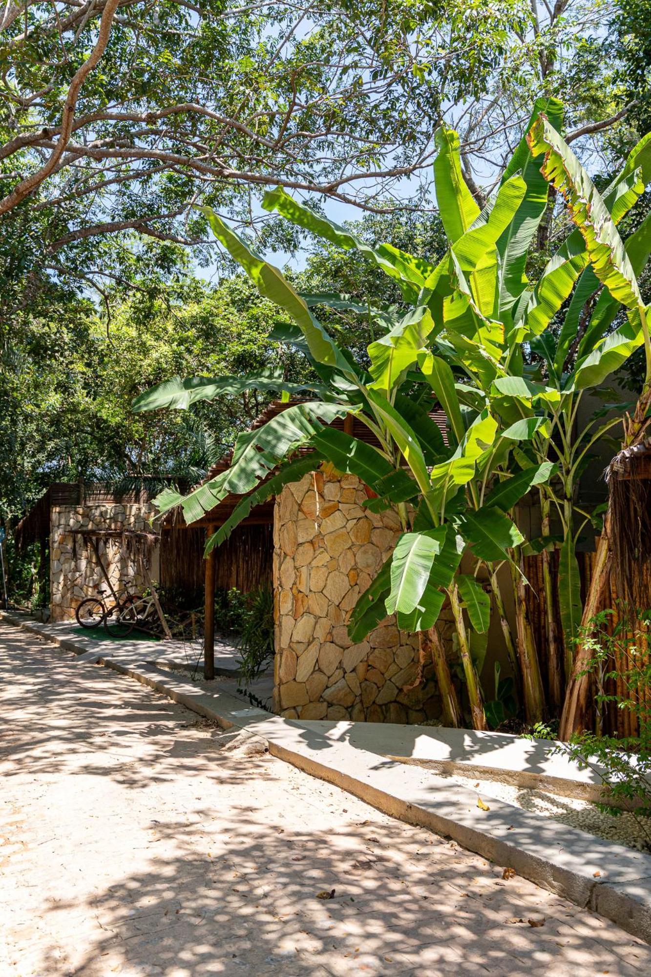 São Miguel dos Milagres Sitio Villa Da Mata מראה חיצוני תמונה